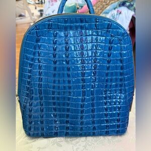 Rare blue Brahmin small backpack